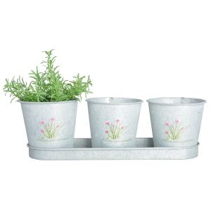 House2Home 3'lü Galvaniz Saksı