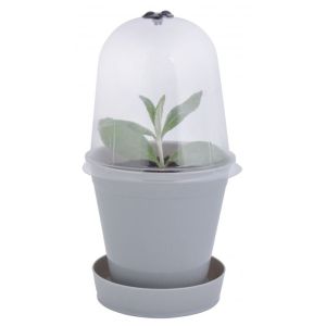 House2home Mini Sera