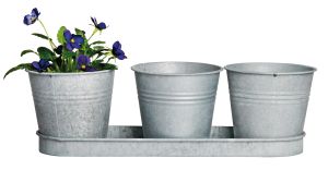 House2Home 3'lü Galvaniz Saksı